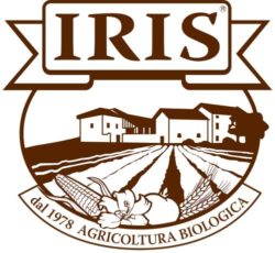iris 02 e1463070495222